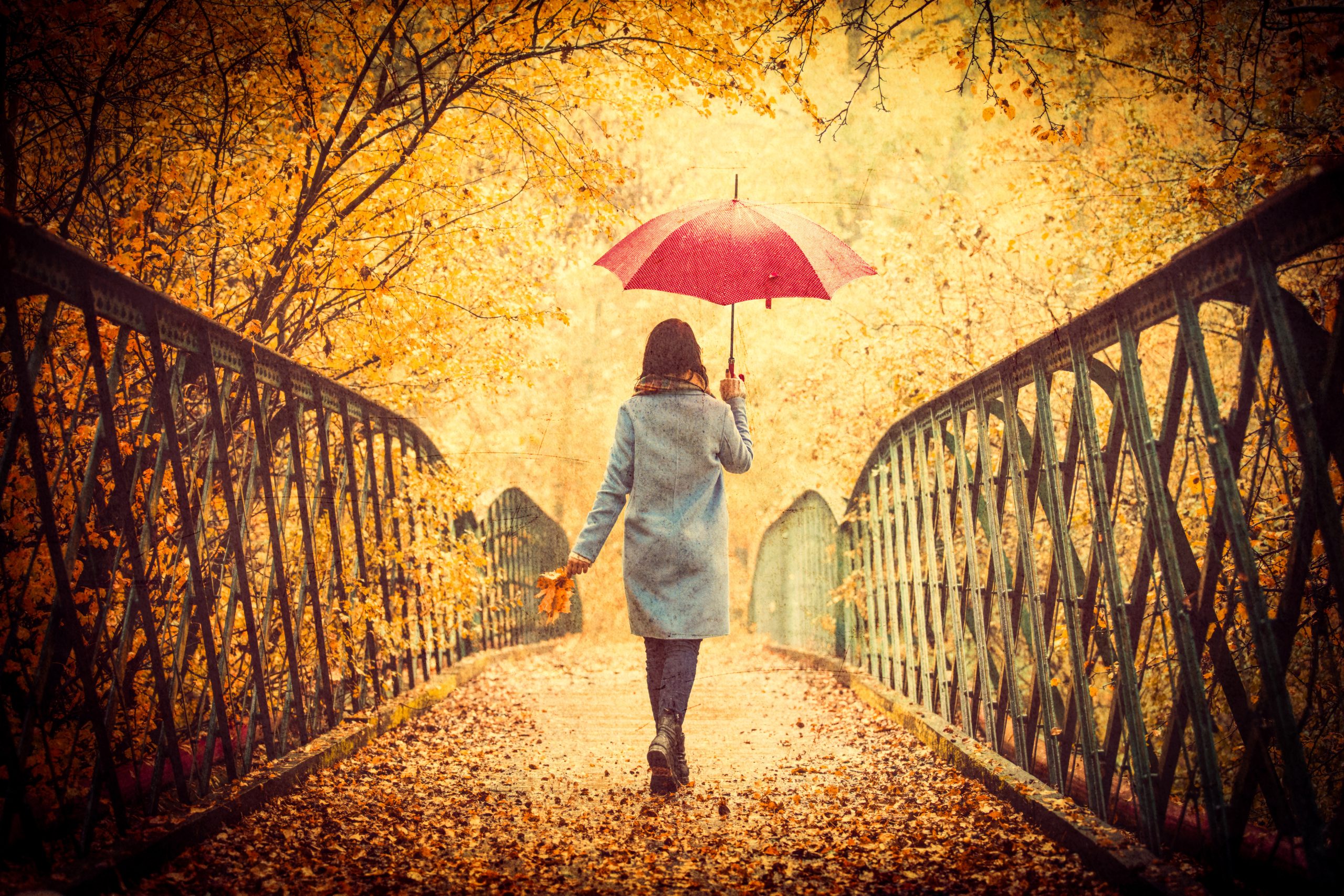 Я брел по осенней. Девушка с зонтом осень. Девушка под зонтом в осеннем парке. Девушка идет по осенней аллее. Девушка с зонтом со спины.